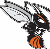 Kalamazoo College Hornet Logo